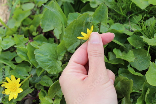 Human hand showing gesture on green natural background with copy space
