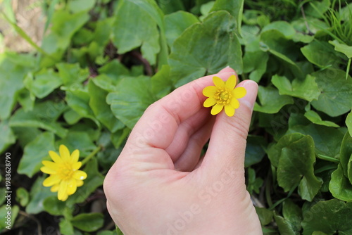 Human hand showing gesture on green natural background with copy space