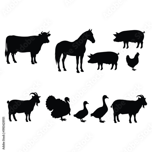 Farm animal silhouette collection with cow, horse, pig, sheep, chicken and ducks, isolated black livestock icons for agriculture, ranch, barnyard design set vector