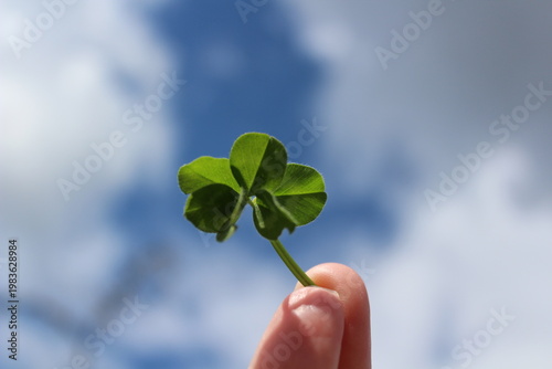Four leaf clover in hand on blue sky background with copy space
