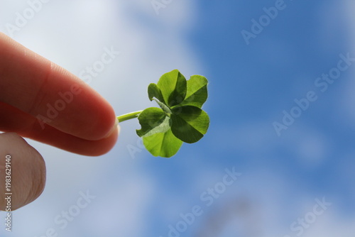 Four leaf clover in hand on blue sky background with copy space
