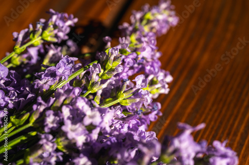 Macro shot of fresh purple lavender flowers bouquet on a rustic wooden table. Beautiful floral background for aromatherapy, spa, wellness and home decor concepts