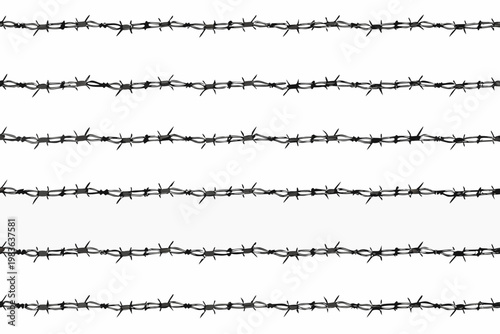 Multiple strands of black barbed wire against a stark white background