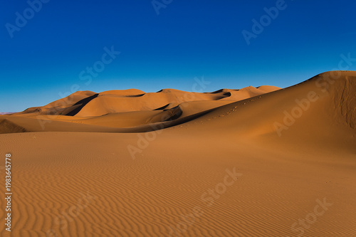 sand dunes in the sahara
