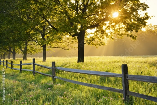 Sunrise Over Green Field With Wooden Fence and Trees in Morning Light
