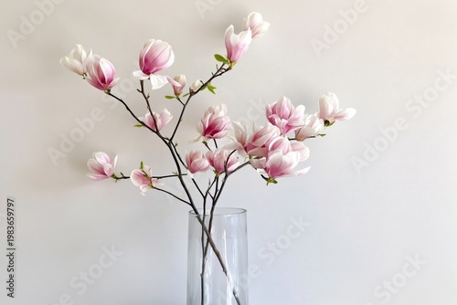 Beautiful Magnolia Branches in Clear Vase on a Simple Background
