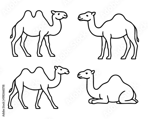 Camel illustration icon set with outline design