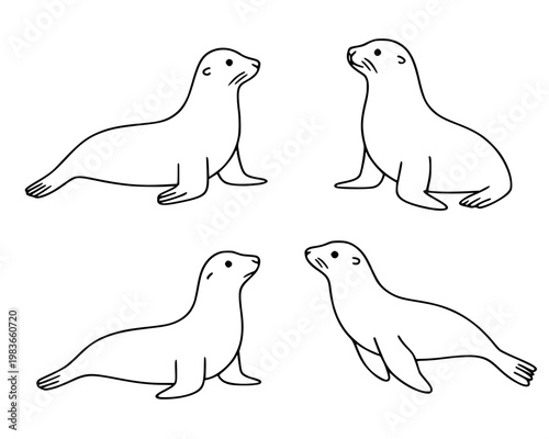 Sea lion illustration icon set with outline design