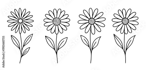 Daisy flower illustration icon set with outline design
