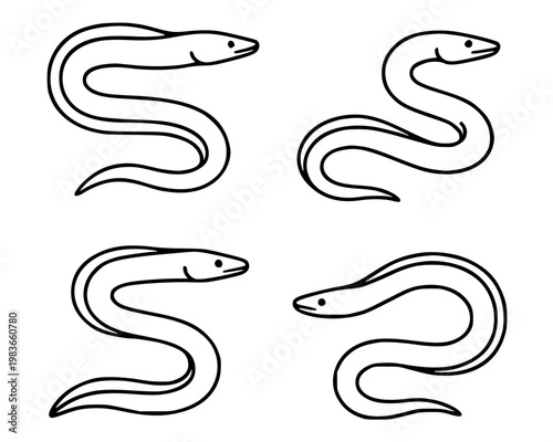 Eel illustration icon set with outline design