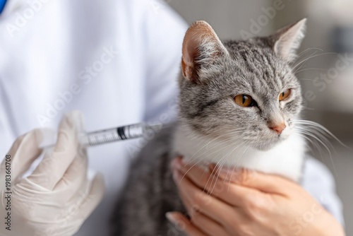 Veterinarian administering injection to domestic cat in clinic