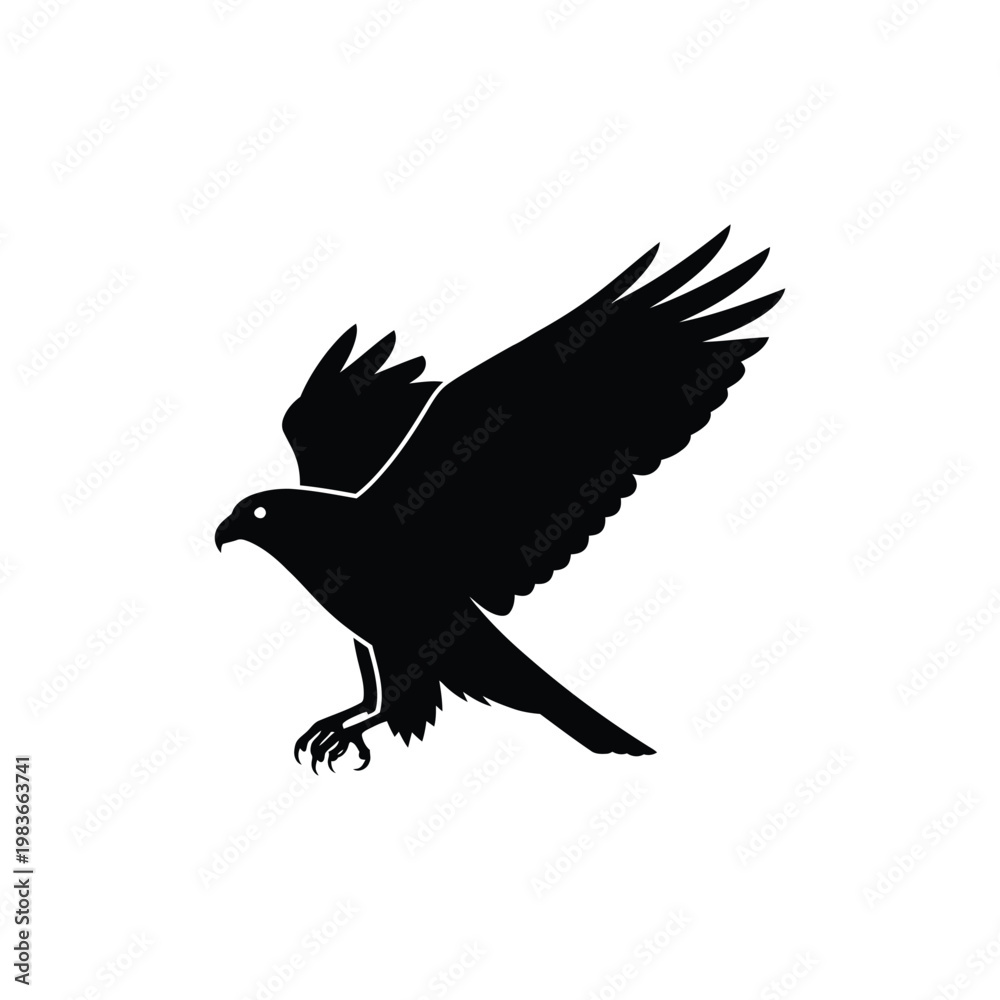 Fototapeta premium Silhouette of bird of prey in flight with open wings, talon detail, nature.