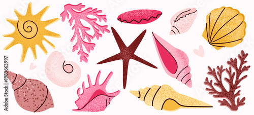 Set of seashells. Collection of ocean life elements. Vector illustration for summer design