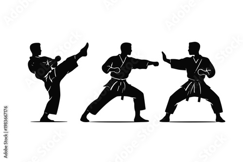 Silhouettes of martial arts masters perform karate sparring and practice kicks on a light gray background