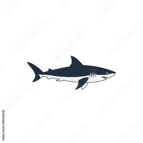 Great White Shark Swimming in Ocean