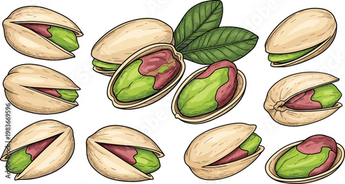 Pistachio Nut Collection with Open Shells and Kernels Detailed Healthy Snack Food Top View Vector Illustration Set