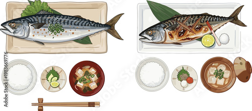 Grilled Mackerel Japanese Meal Set with Whole Fish Rice Soup and Side Dishes Traditional Asian Cuisine Top View Vector Illustration Collection
