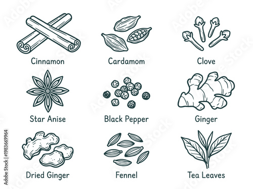 Masala tea spices botanical line art illustration set, isolated elements for organic food branding