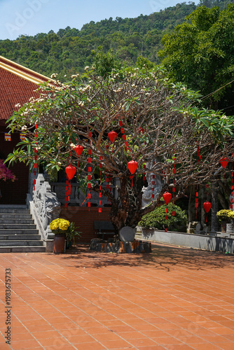 Tree decorated with traditional red lucky money envelopes (Li Xi) for Tet celebration in Vietnam. Symbol of luck, prosperity, and spring.
