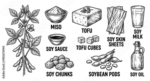 Vintage soy food engraving set with tofu soy sauce milk miso and bean