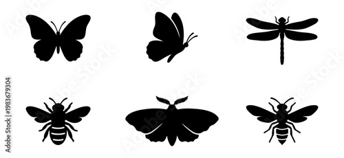 Black insect silhouettes, 6 butterfly and bee icons, dragonfly and moth vector set