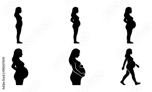 Pregnant woman silhouette set, pregnancy stages vector, maternity cycle icons collection