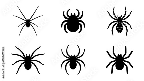Black spider silhouette icons, 6 insect vector elements, spooky Halloween arachnid set
