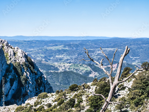 Bild auf Leinwand Panorami dai montalbo di Lula, Sardegna.