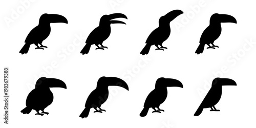 Toucan bird silhouette set, 8 tropical bird icons, exotic wildlife vector collection