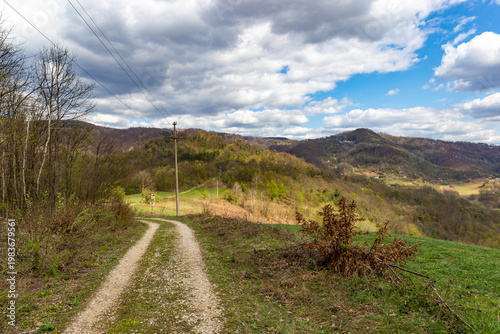 Wallpaper Mural Scenic winding road through lush green meadows in the Balkan mountains Torontodigital.ca