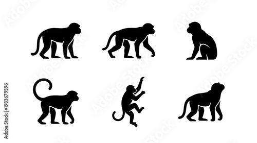 Monkey silhouette collection, 6 primate vector icons, black ape animal set for logos