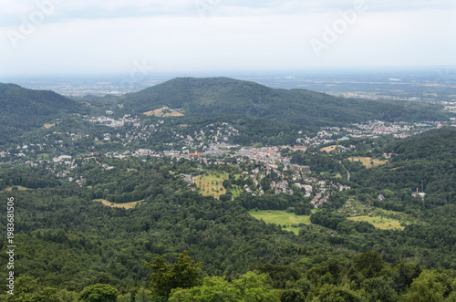 Panoramic Aerial View of Scenic Forest Valley