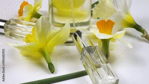 Bottles with perfumes and eau de toilette, fresh flowers daffodil are on a white background, side view