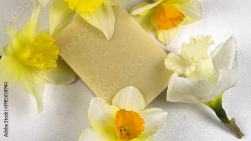 A bar of soap, fresh flowers daffodil are on a white background, cosmetics based on daffodils, top view