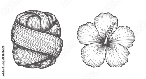 Engraved bundle of reeds and hibiscus flower botanical