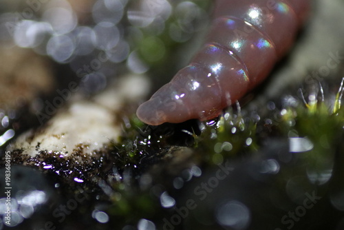 Fotografía This is my journey with macro photography