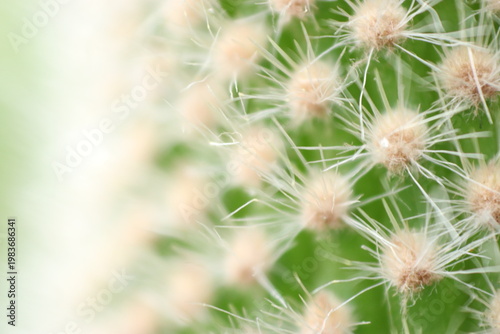Foto This is my journey with macro photography