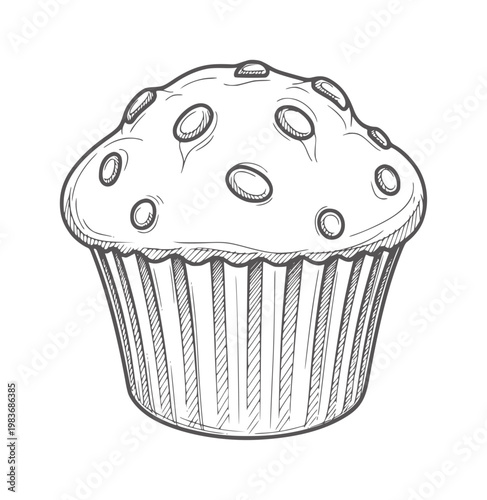 Hand drawn of a chocolate chip muffin in a striped paper liner cupcake handdrawn