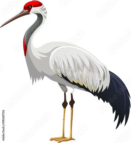 Realistic Crane Bird Standing Full Body Wildlife Profile View