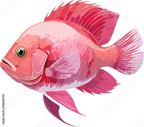 Realistic Flowerhorn Cichlid Fish Swimming Full Body with Nuchal Hump