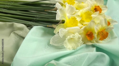 Bouquet of fresh yellow daffodils lie on a fabric of green shades, background, floral arrangement, slow motion