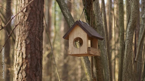 Wooden bird feeder hanging from tree in peaceful forest setting