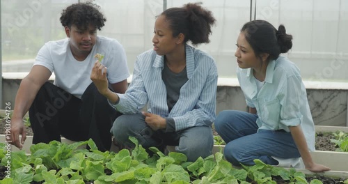 Agricultural concept of 4k resolution. Students of various nationalities tend the vegetable plots in the Agricultural Education Center.