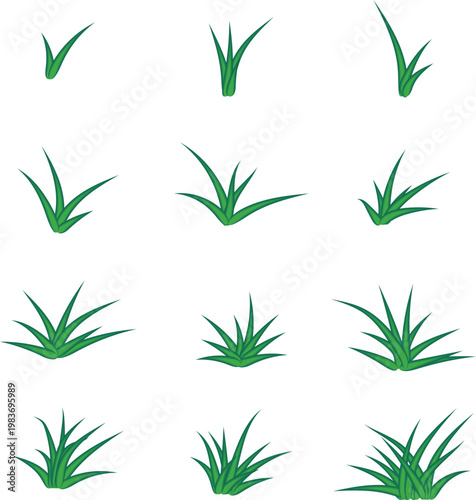 Green grass silhouette. Cartoon lines of plants and shrubs for boarding and framing, eco and organic logo element. Vector set spring field planting shapes lawn or borders garden on white background