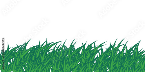 vector of grass realistic grass pn transparent background 