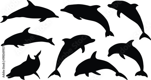 Dolphin Silhouette Vector Set Ocean Marine Wildlife Illustration
