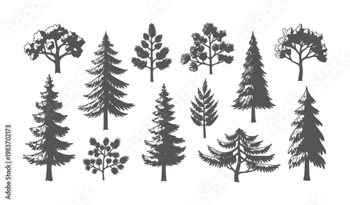 Collection of hand drawn dark grey tree silhouettes white