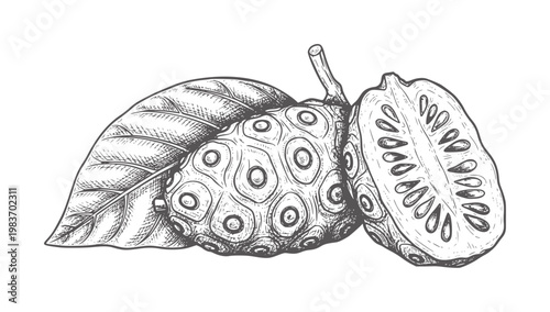 Of a whole and halved noni fruit with leaves botanical
