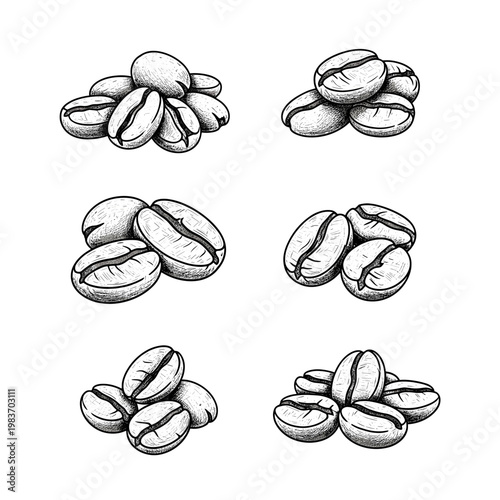 Detailed monochrome illustration of coffee beans arranged in small piles.