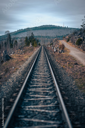 Gleise der Brockenbahn führen durch abgestorbenen Fichtenwald zum Gipfel des Brockens im Harz